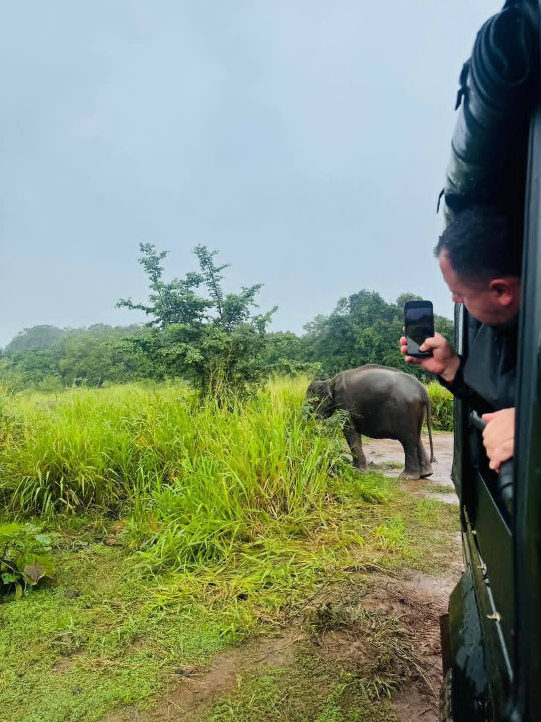 Man photographing a baby elephant from the jeep