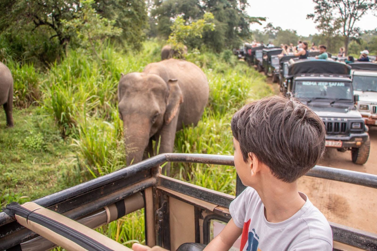 Jeep convoy on a muddy trail through the jungle