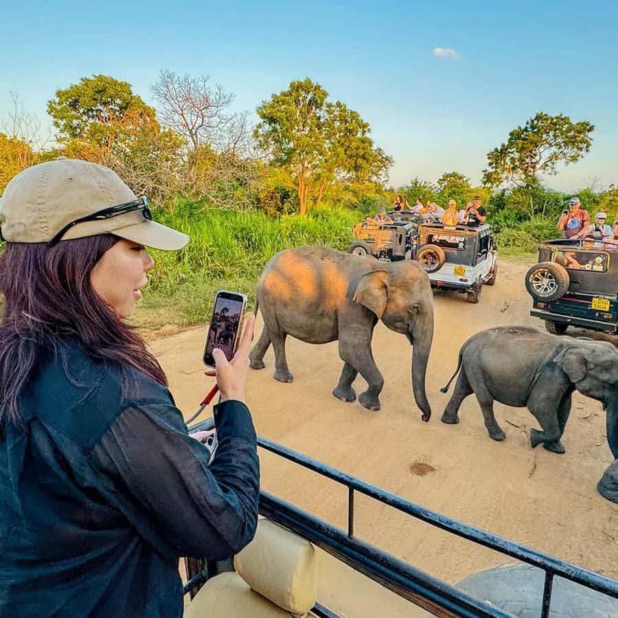 Boy watching an elephant from the jeep